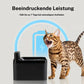 Smart kattvattendispenser🐱💧, med rörelsesensor🚀👀