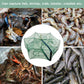 🥳STORREA 2026🥳💞Över 50 000 sålda!🦀🦐 50 % RABATT! Automatisk hopfällbar fiskfälla – Förstärkt nät, rostfritt stål. Öppning med dragkedja för enkel upptagning. Fördubblar din fångst utan ansträngning. 🏆🌊