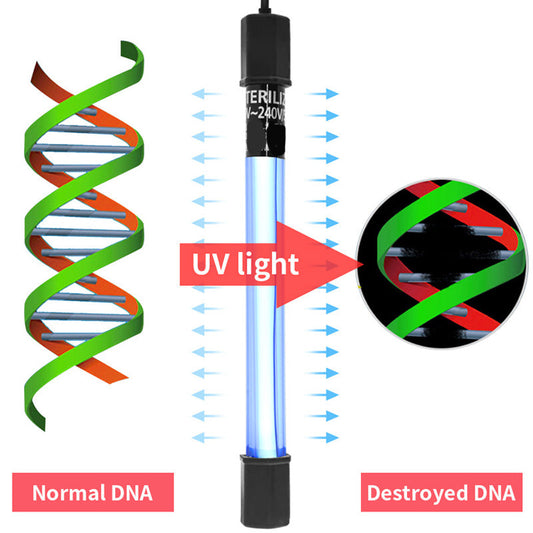 🌊 Tidsinställd UV-sterilisator – akvariets vattenkvalitetsvakt! 🐟