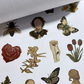 ✨📚Begränsad tidsförsäljning 60 % rabatt🌸Stickerbok för flickor💕
