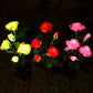 🌞 Solcellsdriven 🌹 rosformad marklampa