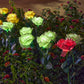 🌞 Solcellsdriven 🌹 rosformad marklampa