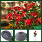🌞 Solcellsdriven 🌹 rosformad marklampa