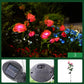 🌞 Solcellsdriven 🌹 rosformad marklampa