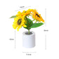 🌻 Solros led simulering liten nattlampa🌻