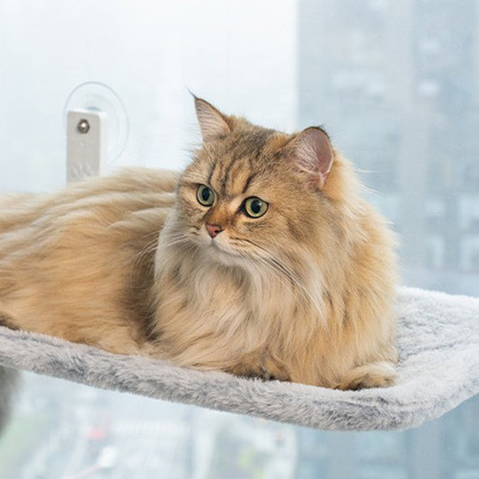 💐50 % rabatt! Hängande kattbädd med sugkoppar – låt katten njuta av solen ☀️😺【Specialpris】