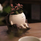 🔥Smiley Face Planter Pot💝