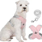 X-ram inget dragande hundsele med koppelset